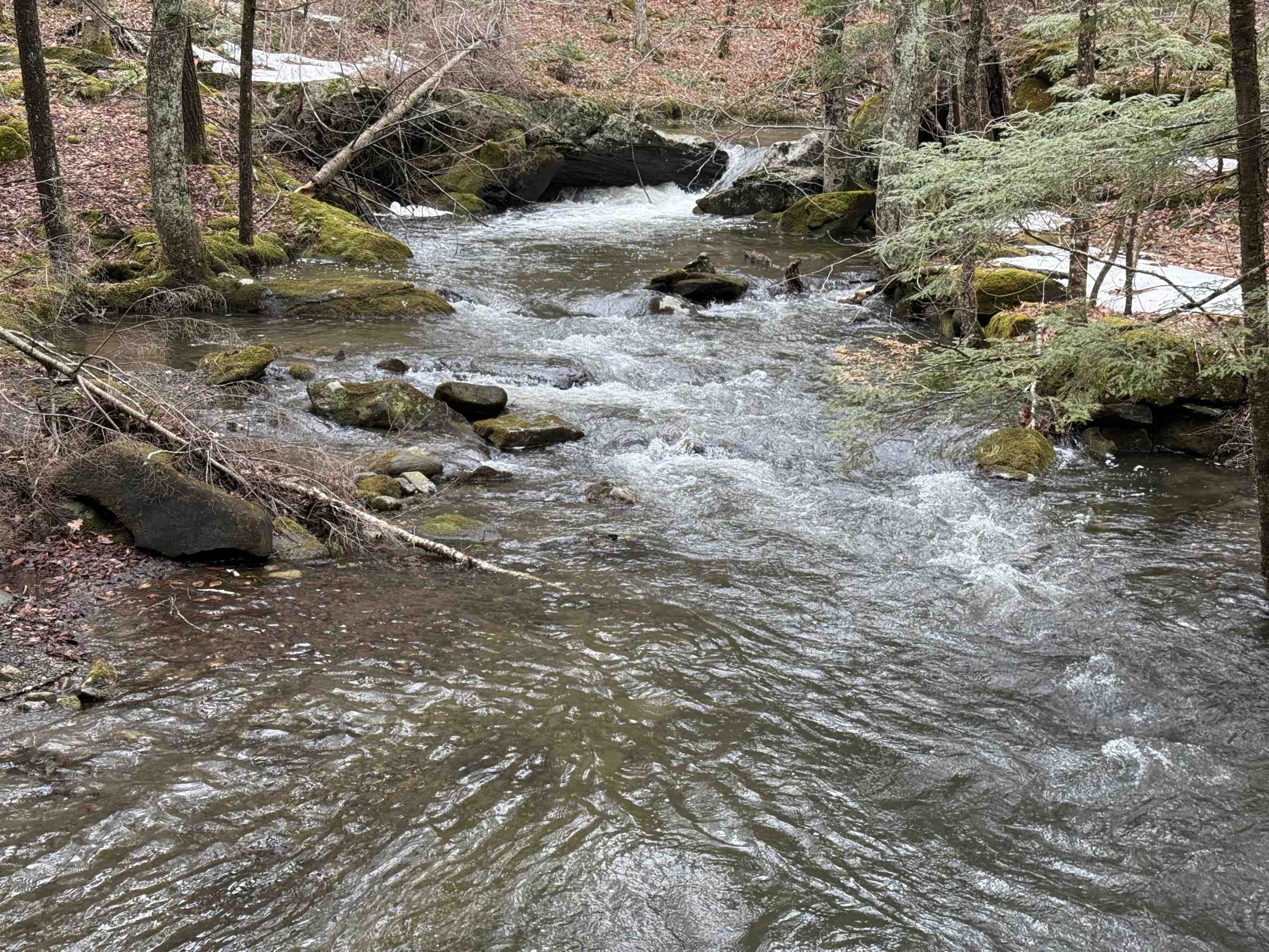 1499 Josh Road Halifax, VT 05301 - Photo 4 of 20