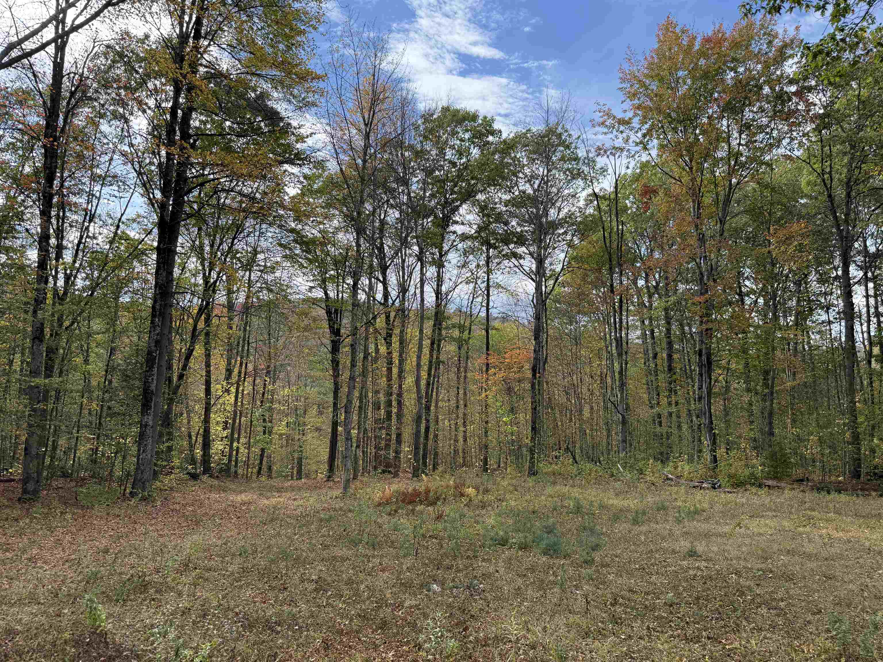 1499 Josh Road Halifax, VT 05301 - Photo 6 of 20