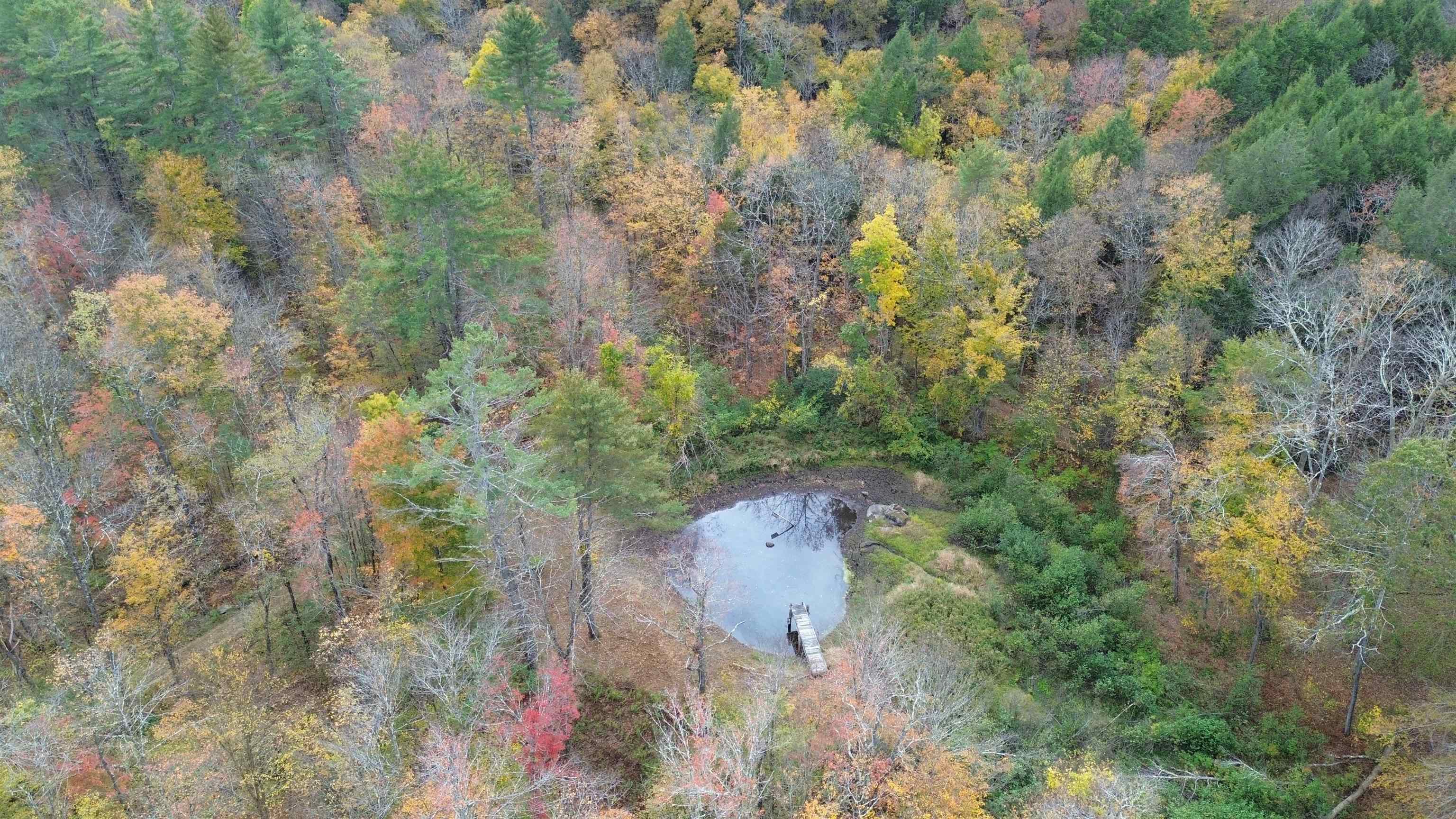 1499 Josh Road Halifax, VT 05301 - Photo 7 of 20
