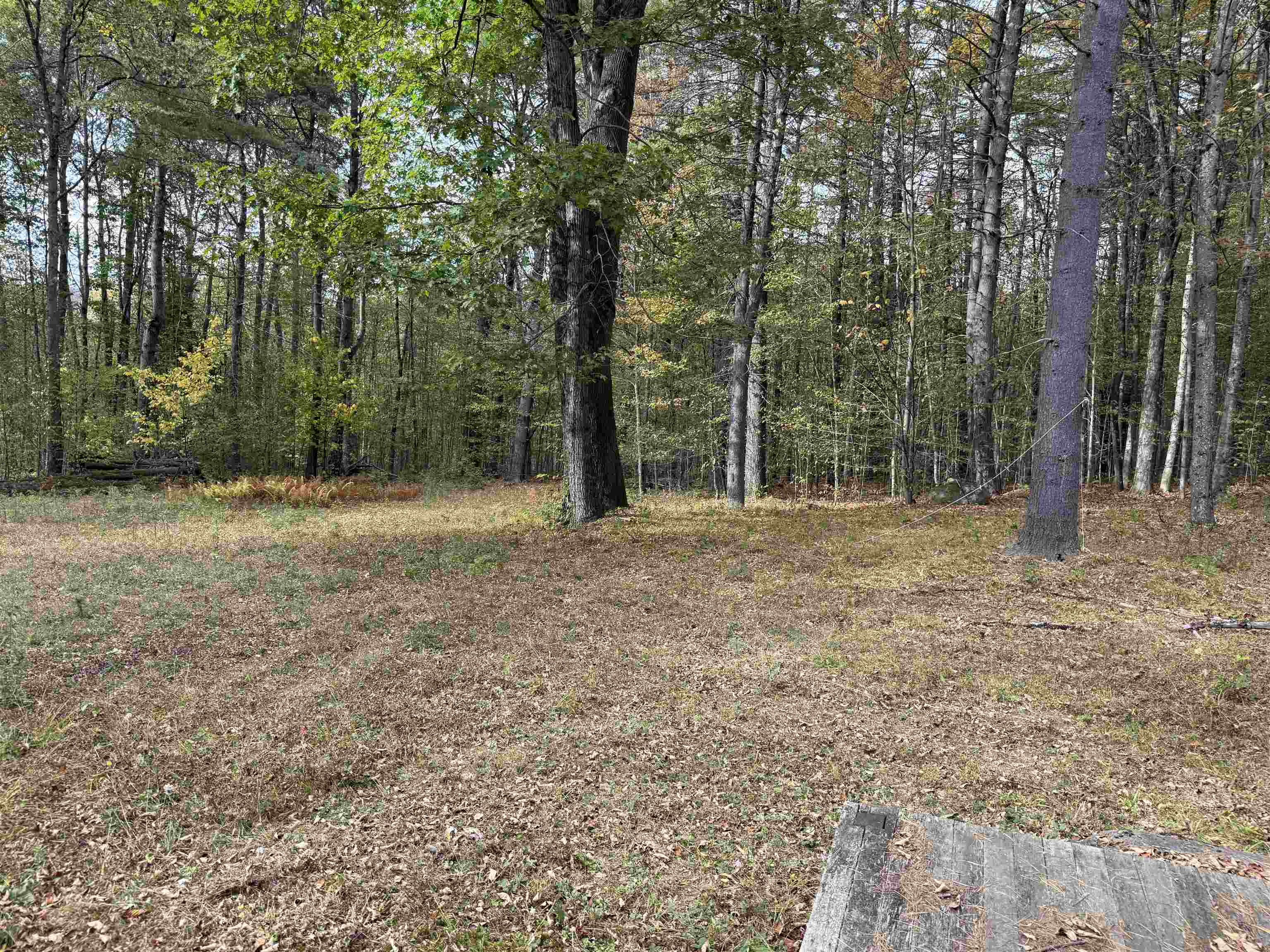 1499 Josh Road Halifax, VT 05301 - Photo 10 of 20