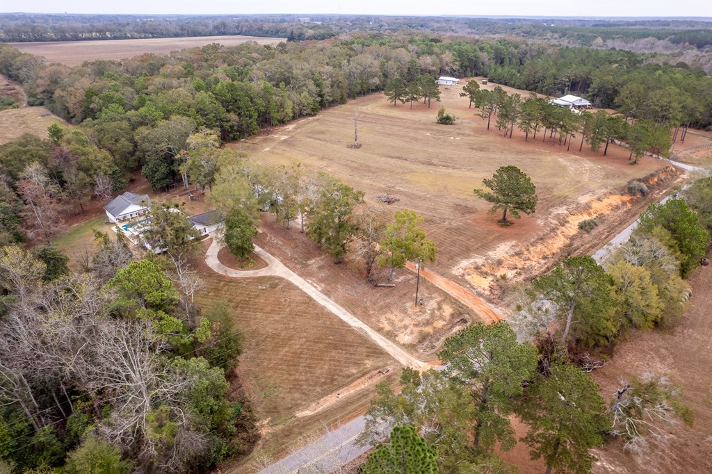 1638 Goose Hollow Road Geneva, AL 36340 - Photo 57 of 74