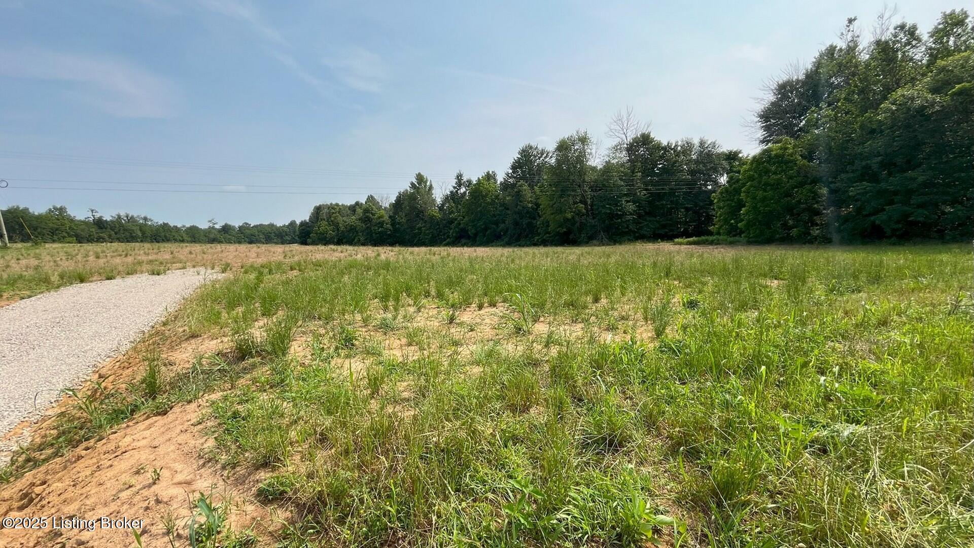 Lot 4 Summit Road Clarkson, KY 42726 - Photo 2 of 17 Pic 4