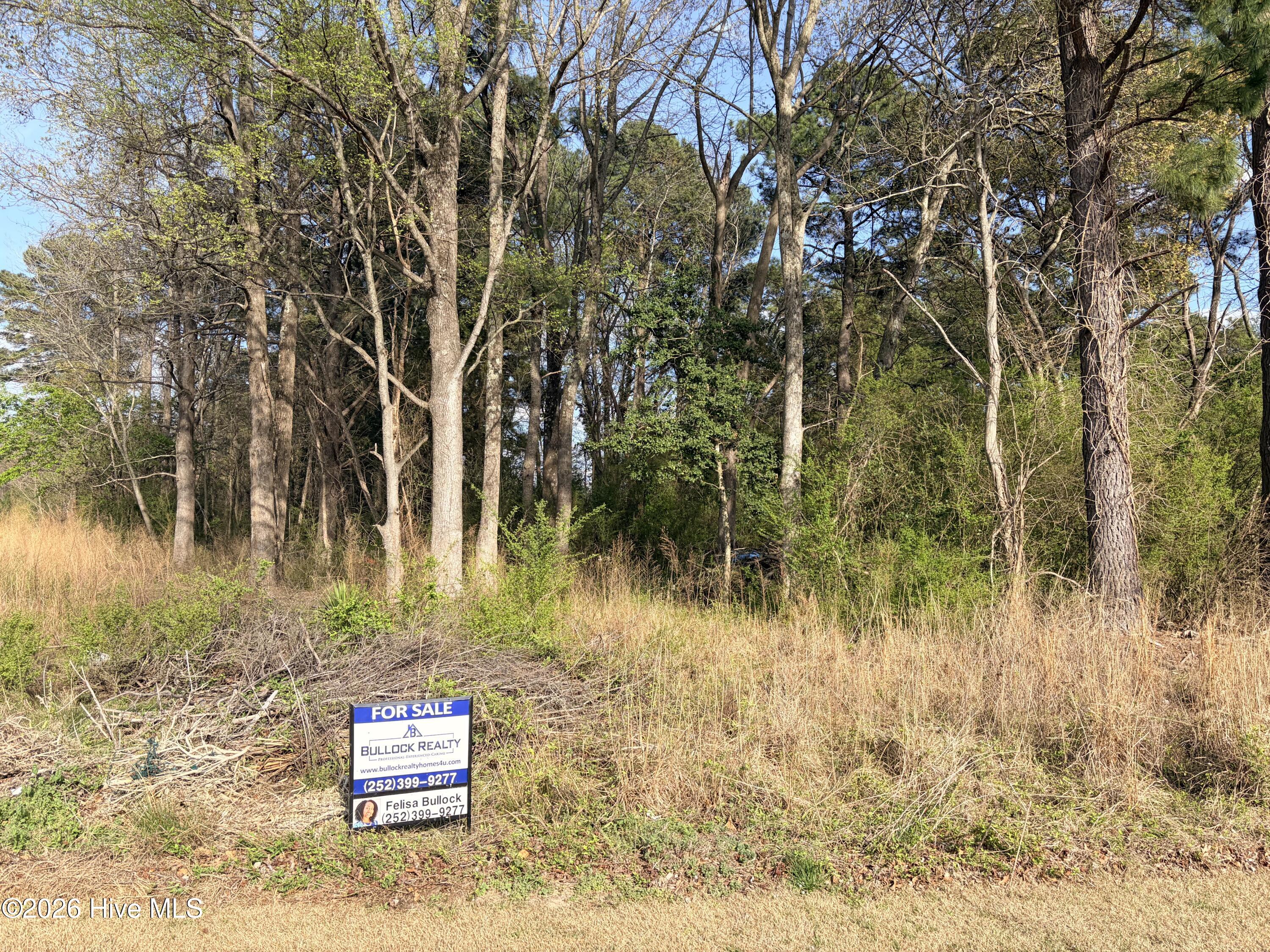 3 St Paul Road Roanoke Rapids, NC 27870 - Photo 2 of 4 St PaulLand