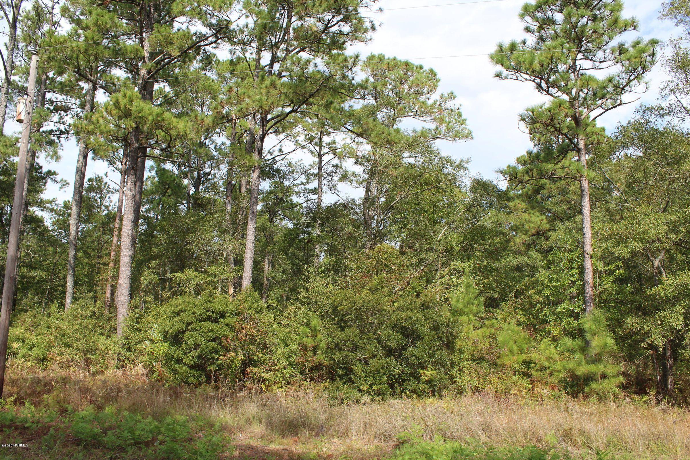 Lot 9 State Road West Belhaven, NC 27810 - Photo 3 of 6 Lot
