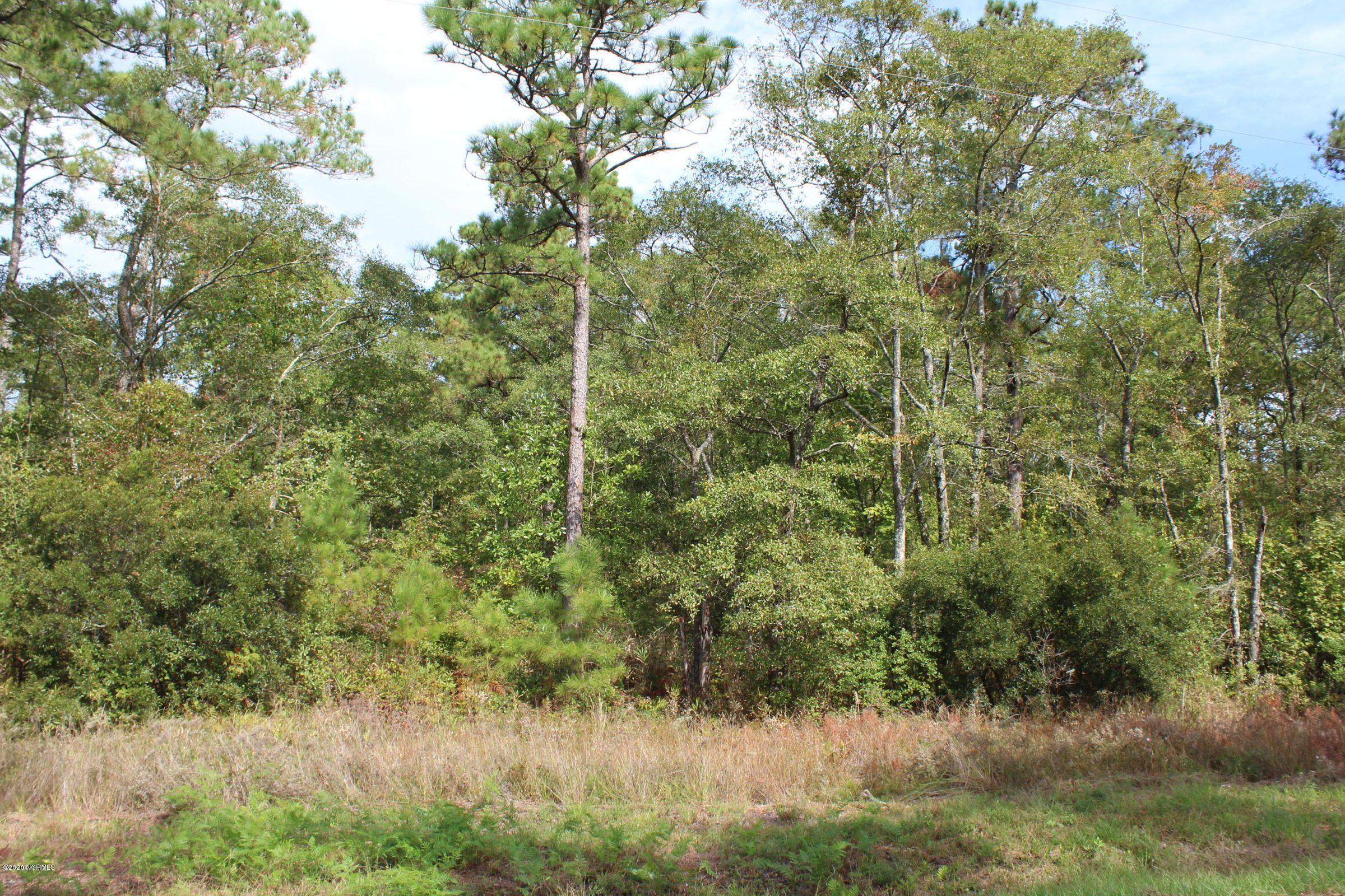 Lot 9 State Road West Belhaven, NC 27810 - Photo 4 of 6 Lot