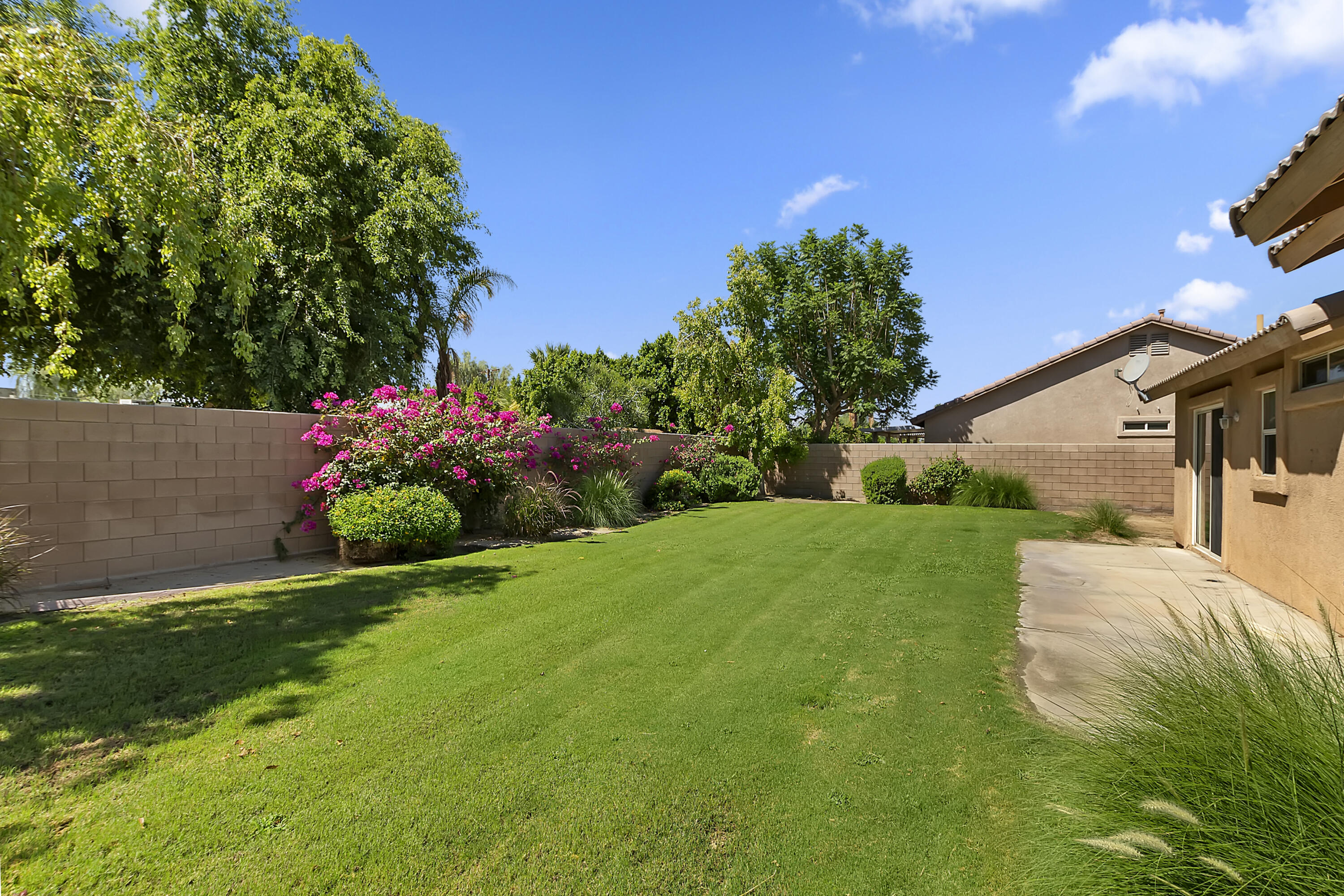 80669 Freedom Avenue Indio, CA 92201 - Photo 29 of 30 a view of a house with a big yard potted plants and large tree