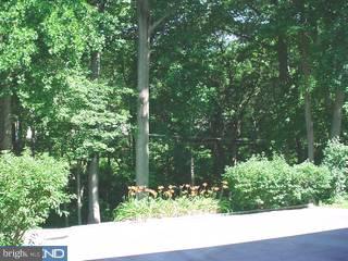 527 Sharpless Road Springfield, PA 19064 - Photo 6 of 6