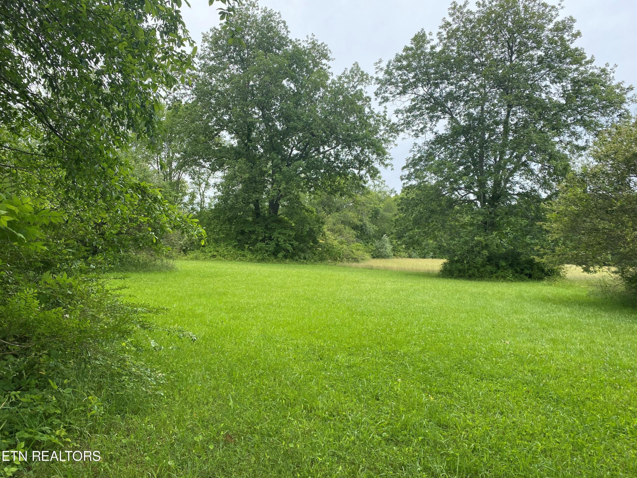961 Deep Draw Road Crossville, TN 38555 - Photo 45 of 47 Gallery Image 45