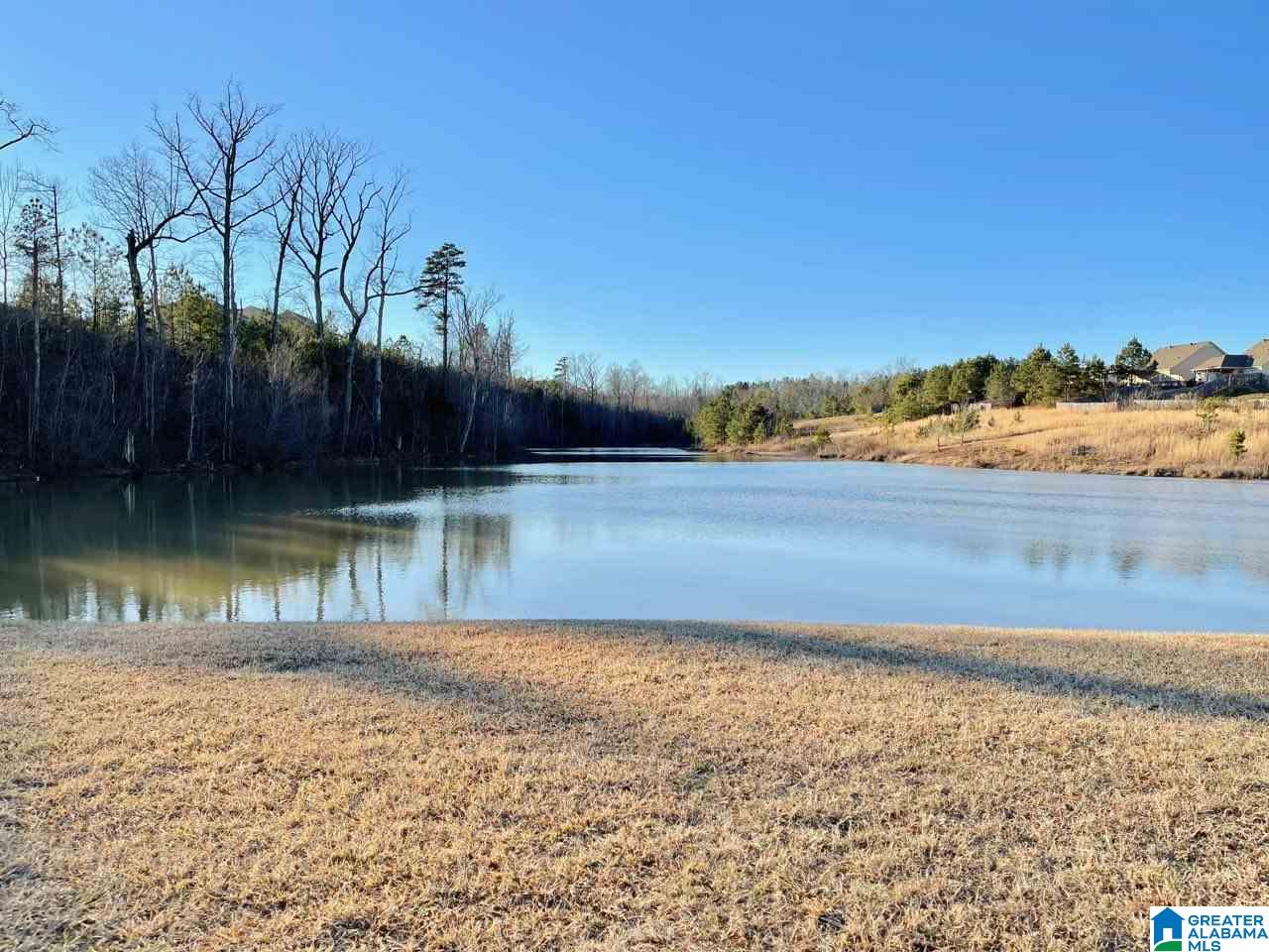 30 Village Springs Cove Springville, AL 35146 - Photo 20 of 25