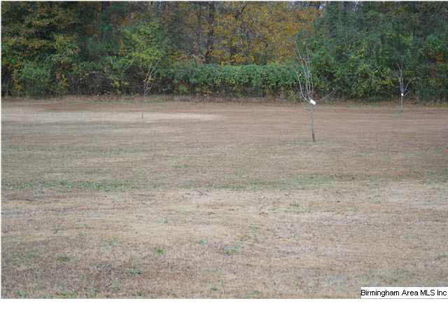 6525 Service Road Trussville, AL 35173 - Photo 17 of 18