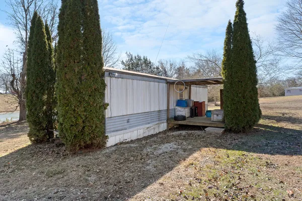 a view of yard with tree