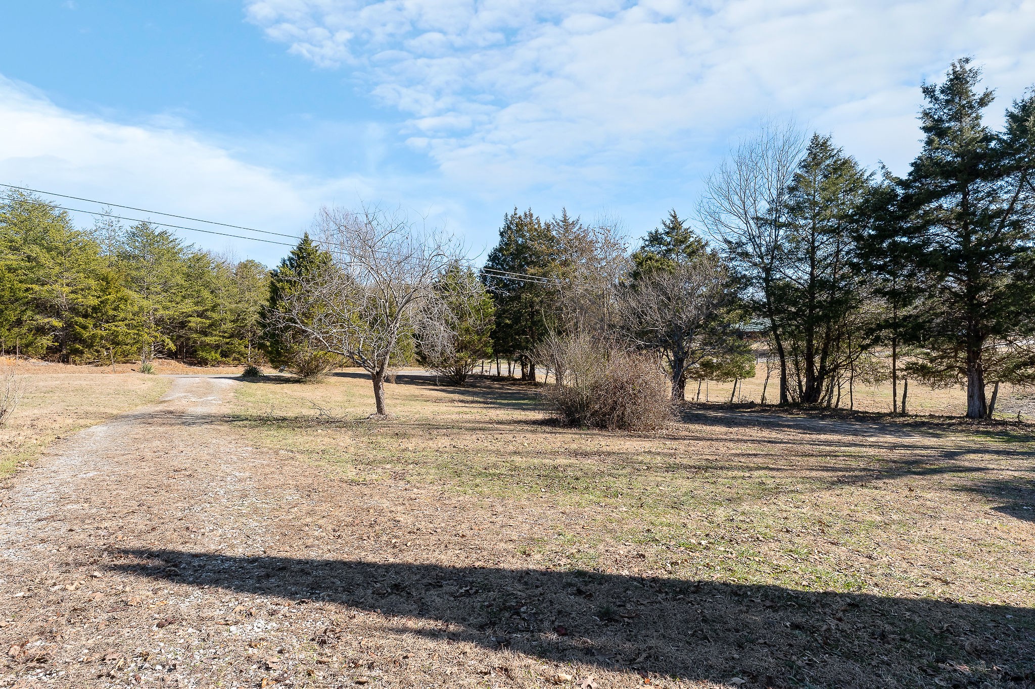 280 Bone Cave Road Rock Island, TN 38581 - Photo 16 of 27 a view of yard with tree