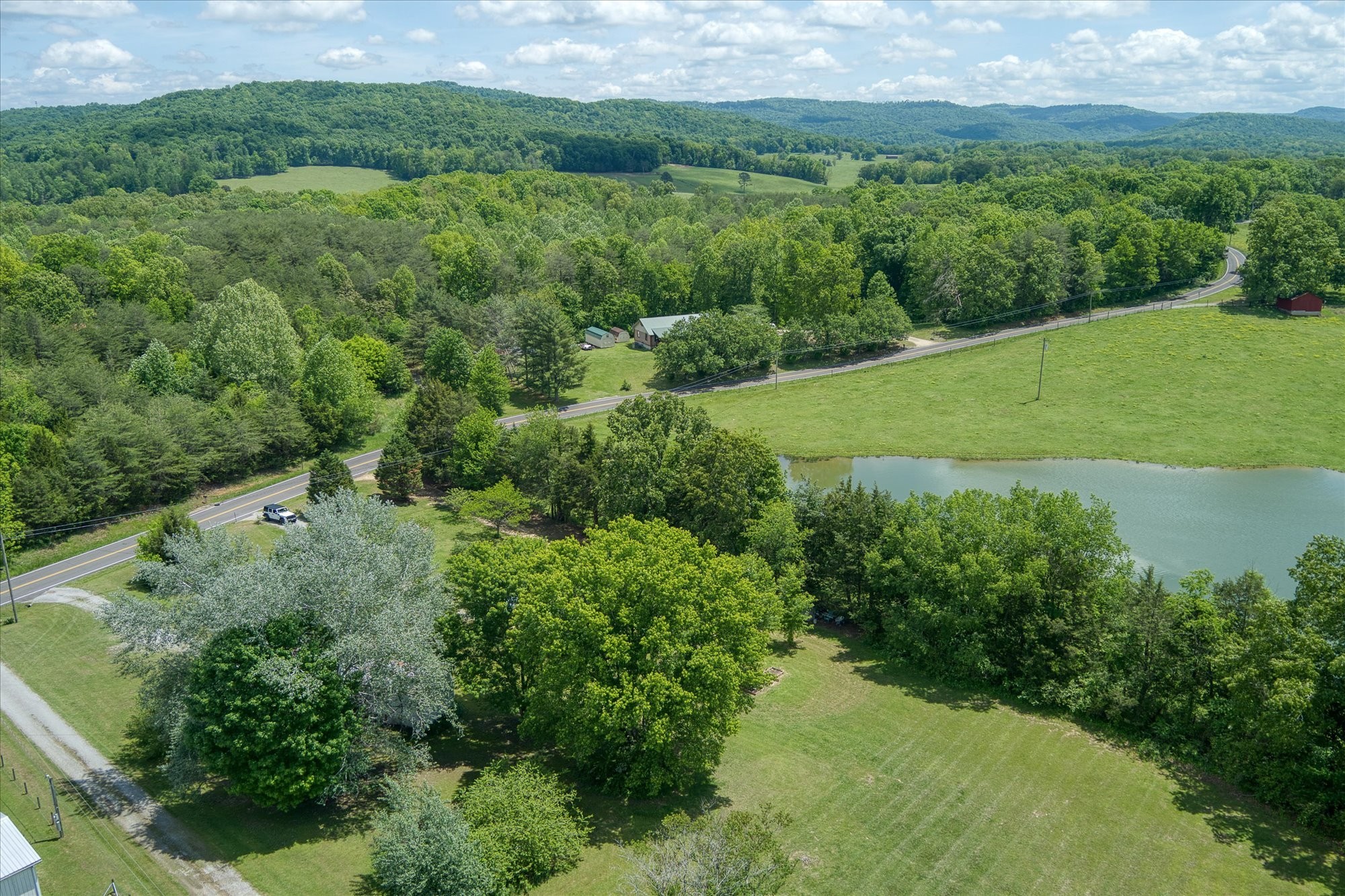 280 Bone Cave Road Rock Island, TN 38581 - Photo 26 of 27 a view of a lush green forest with lots of trees