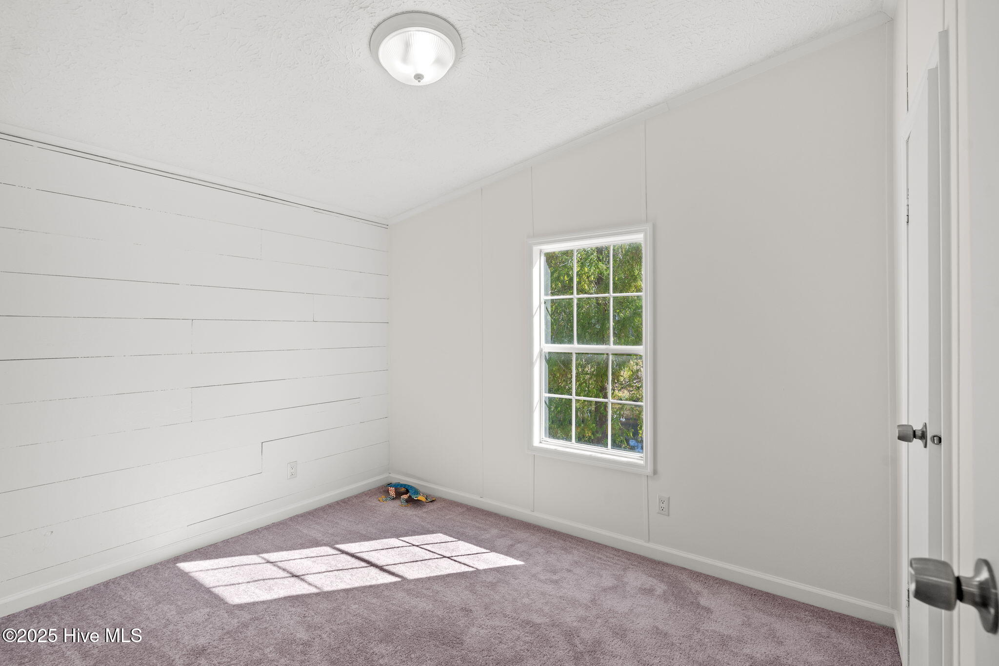 2807 Cross Bones Road Southwest Supply, NC 28462 - Photo 13 of 31 Bedroom 2