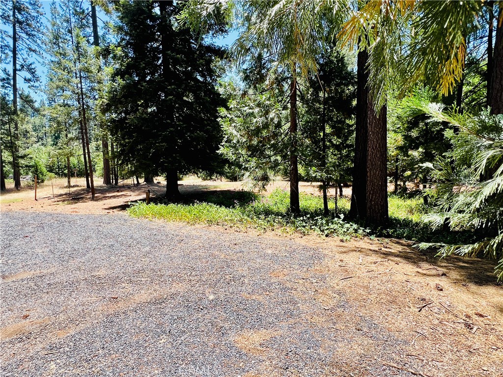 15793 Coutolenc Road Magalia, CA 95954 - Photo 32 of 33