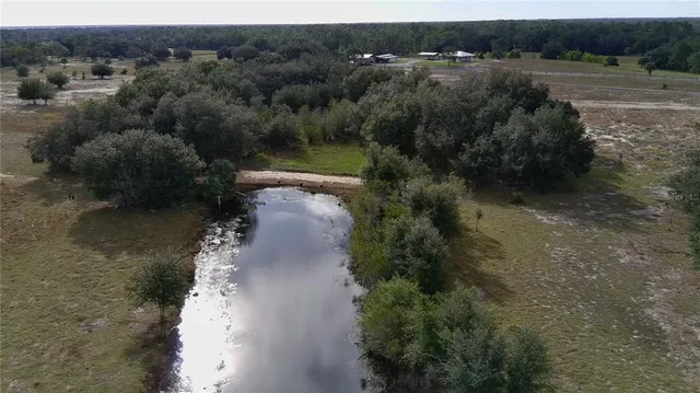 an aerial view of a forest with houses