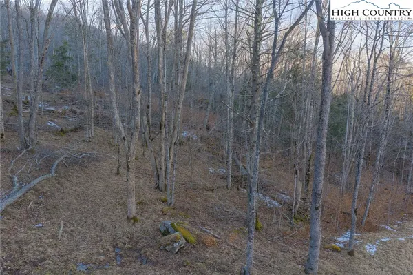 a view of a bathroom with a shower