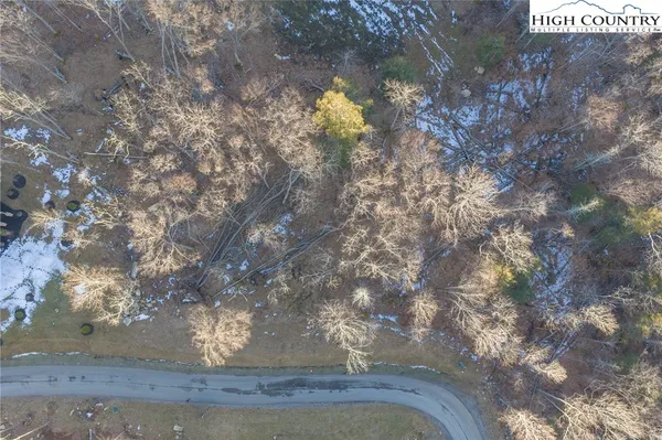 a view of outdoor space and trees
