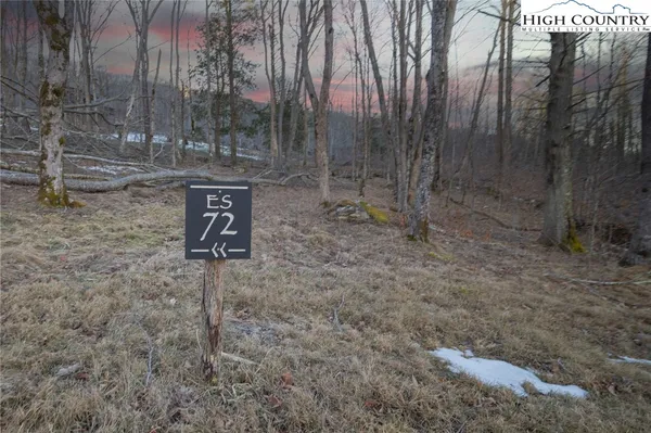 a view of a backyard with large trees