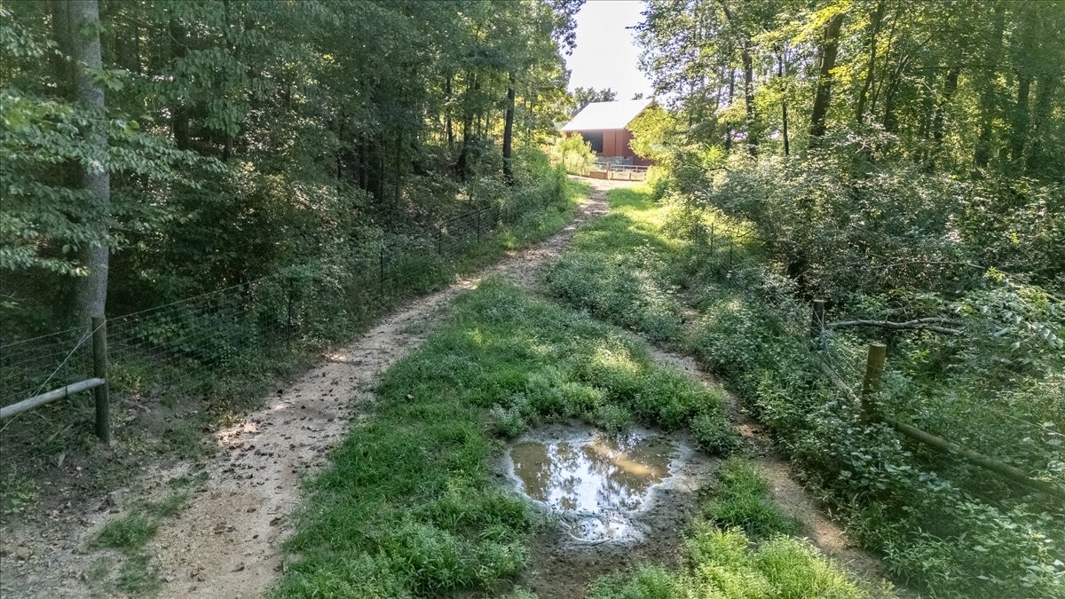 115 Denson Road Lawrenceburg, TN 38464 - Photo 51 of 67 Gallery Image 51