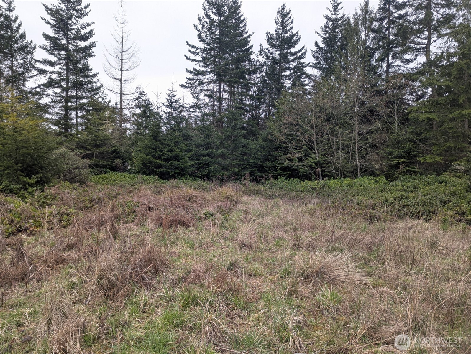 0 Critter Country Trail Sequim, WA 98382 - Photo 1 of 11 a view of a dry yard