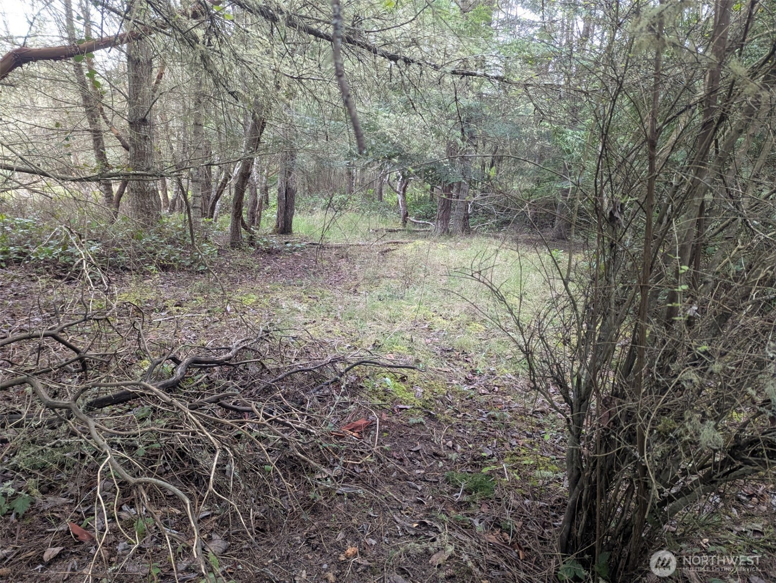 0 Critter Country Trail Sequim, WA 98382 - Photo 11 of 11 a backyard of a house with lots of green space