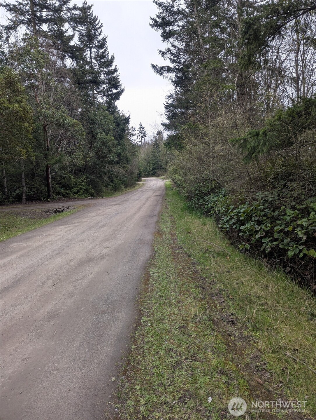 0 Critter Country Trail Sequim, WA 98382 - Photo 8 of 11 a view of a dirt road with trees
