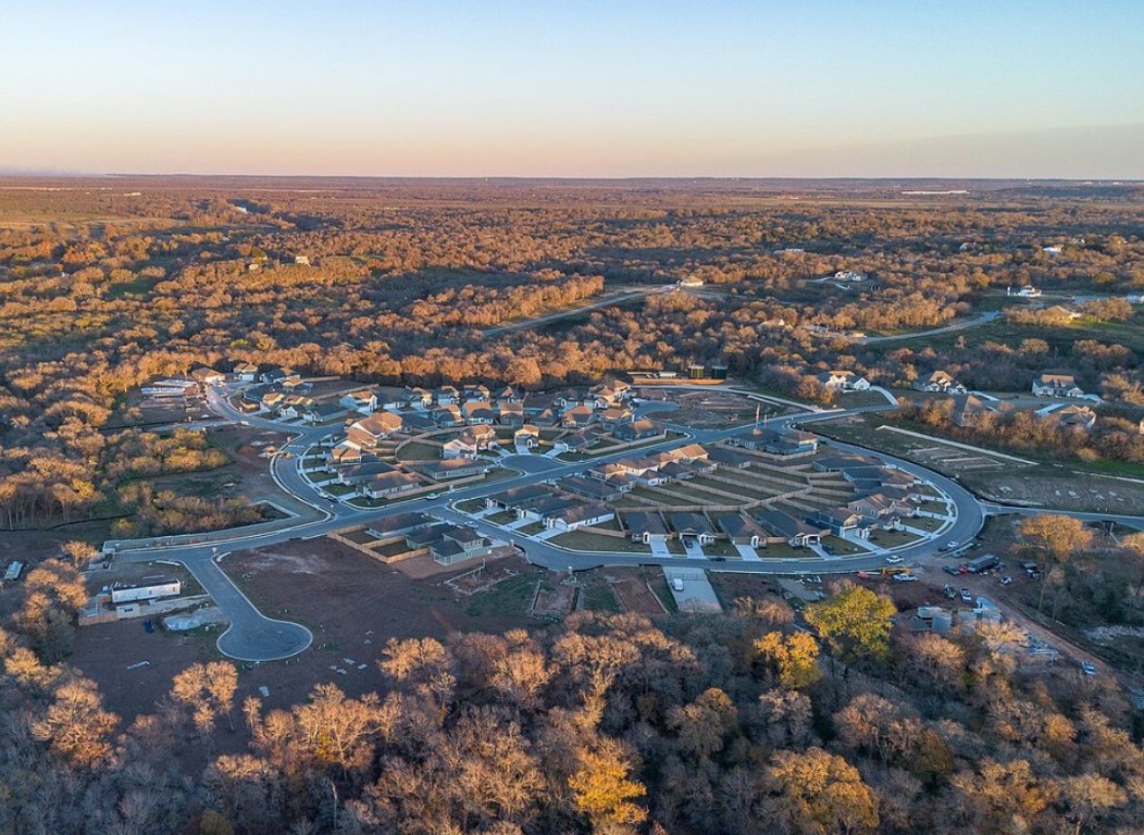 126 Short Toed Swoop Cedar Creek, TX 78612 - Photo 18 of 20 an aerial view of multiple house