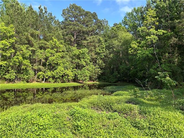 154 Lakeway Road Coushatta, LA 71019 - Photo 21 of 25