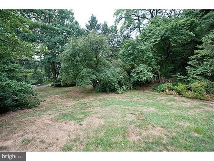 525 County Line Road Wayne, PA 19087 - Photo 22 of 24 Side Yard