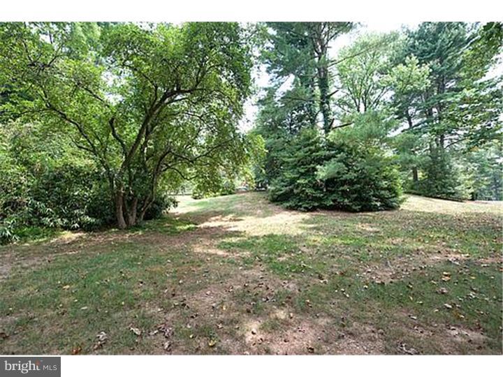 525 County Line Road Wayne, PA 19087 - Photo 23 of 24 Front Yard