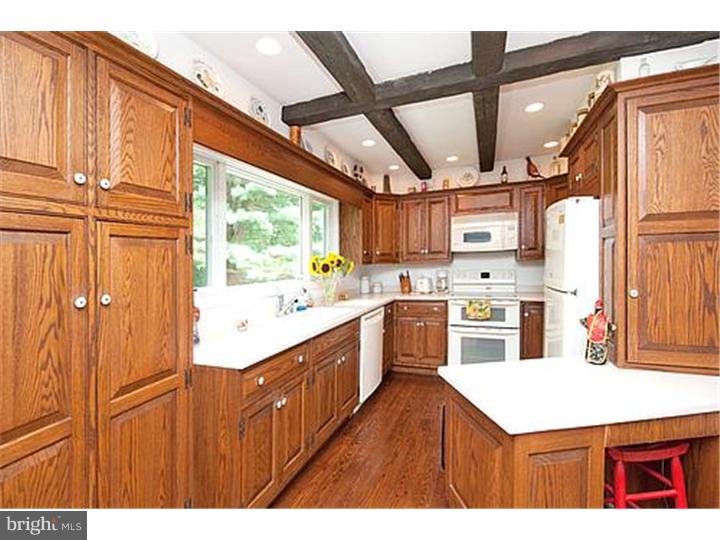 525 County Line Road Wayne, PA 19087 - Photo 6 of 24 Kitchen