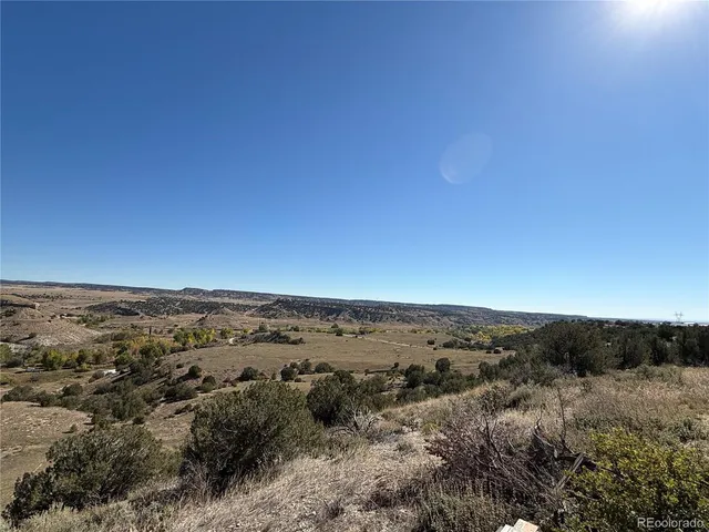 an aerial view of ocean and trees
