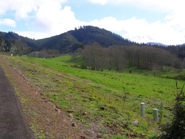 Lot 25 Skyview Road Tillamook, OR 97141 - Photo 14 of 21 P3180353.JPG