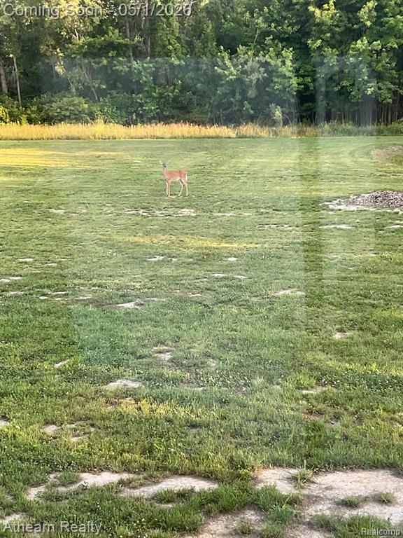 7395 Baldwin Road Swartz Creek, MI 48473 - Photo 5 of 18