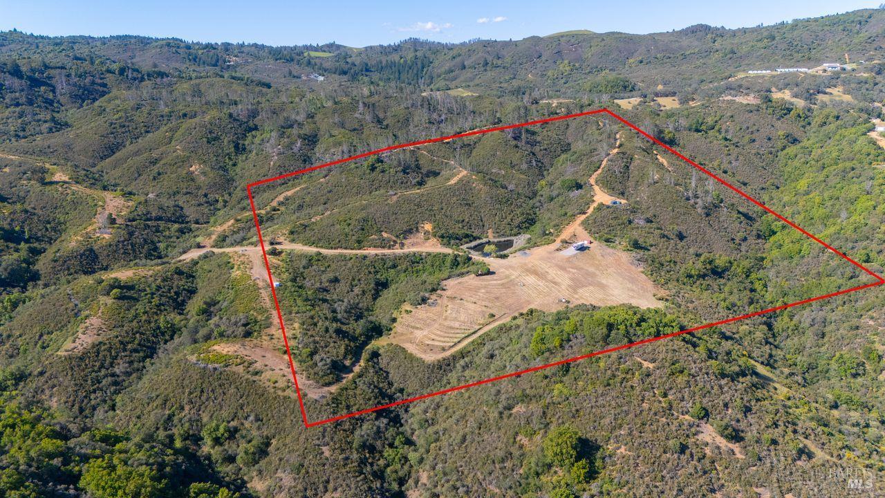 31909 Green Road Cloverdale, CA 95425 - Photo 25 of 25 a view of a forest with a mountain and a forest