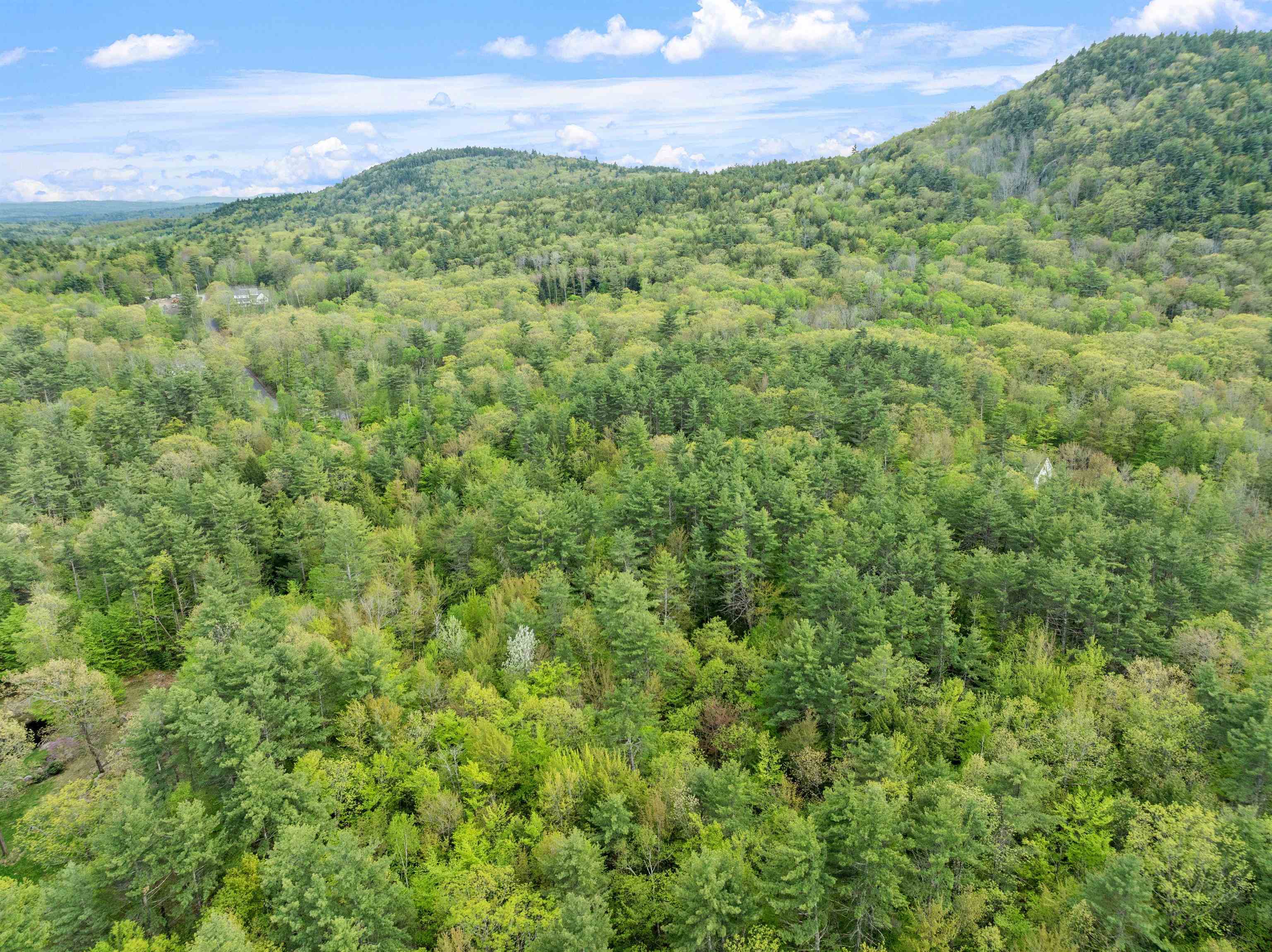 Lot 15 Roxbury Road Meredith, NH 03253 - Photo 11 of 14