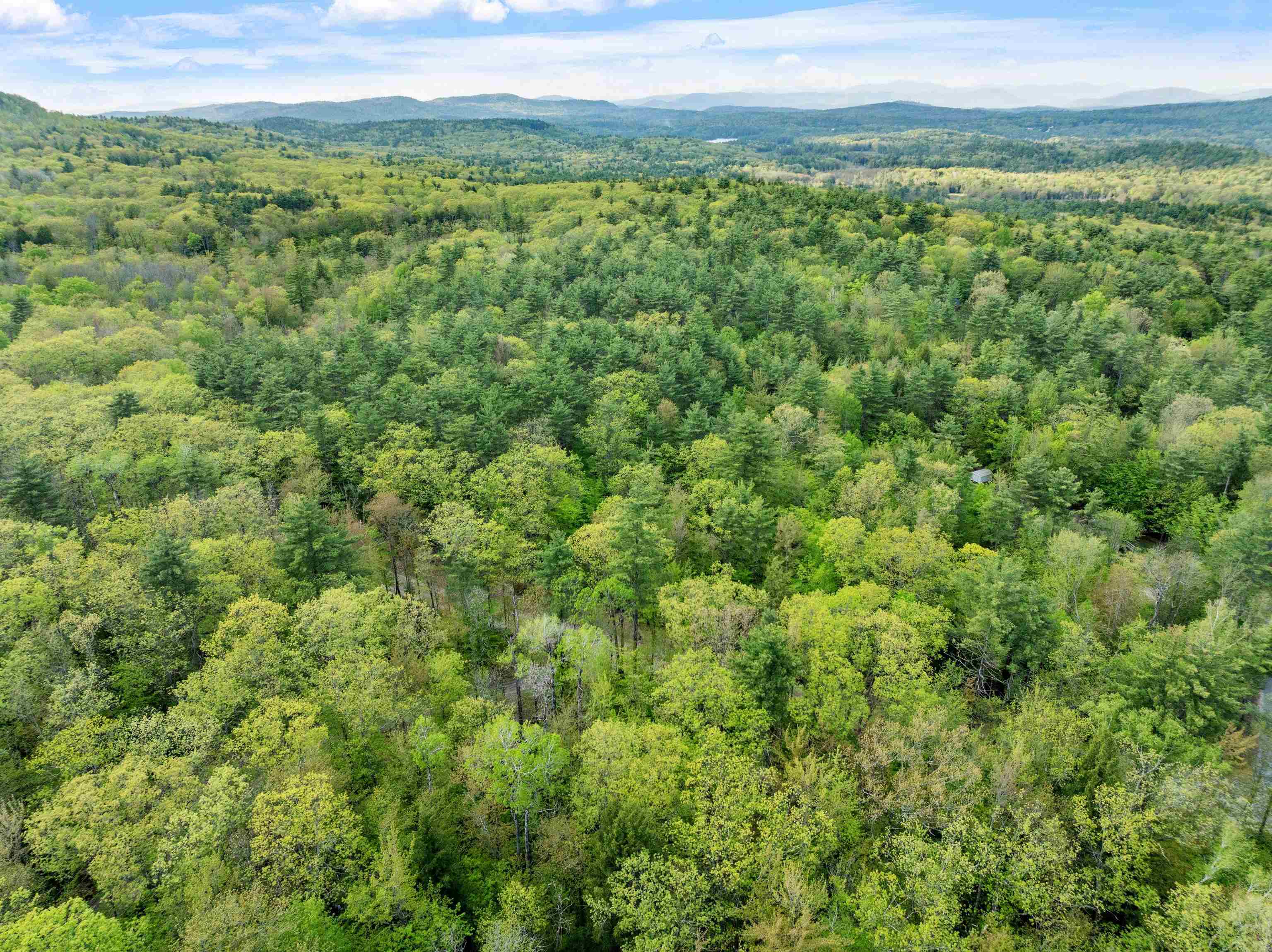 Lot 15 Roxbury Road Meredith, NH 03253 - Photo 5 of 14