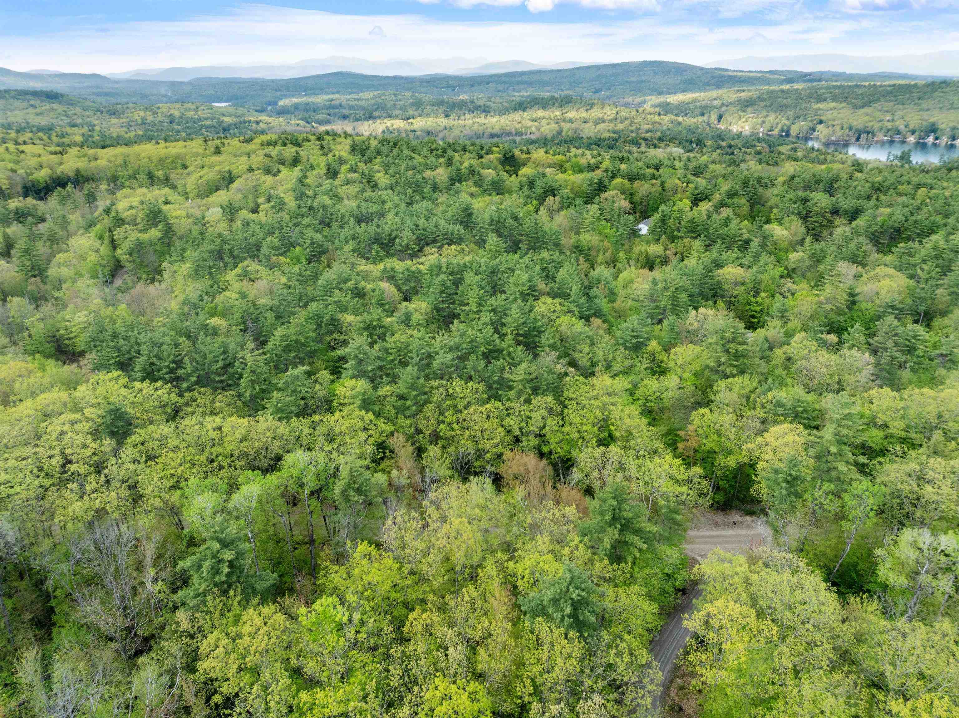Lot 15 Roxbury Road Meredith, NH 03253 - Photo 7 of 14