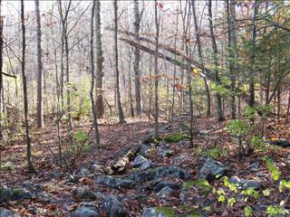 9 G Rte Red Hook, NY 12571 - Photo 1 of 1 Gallery Image 1