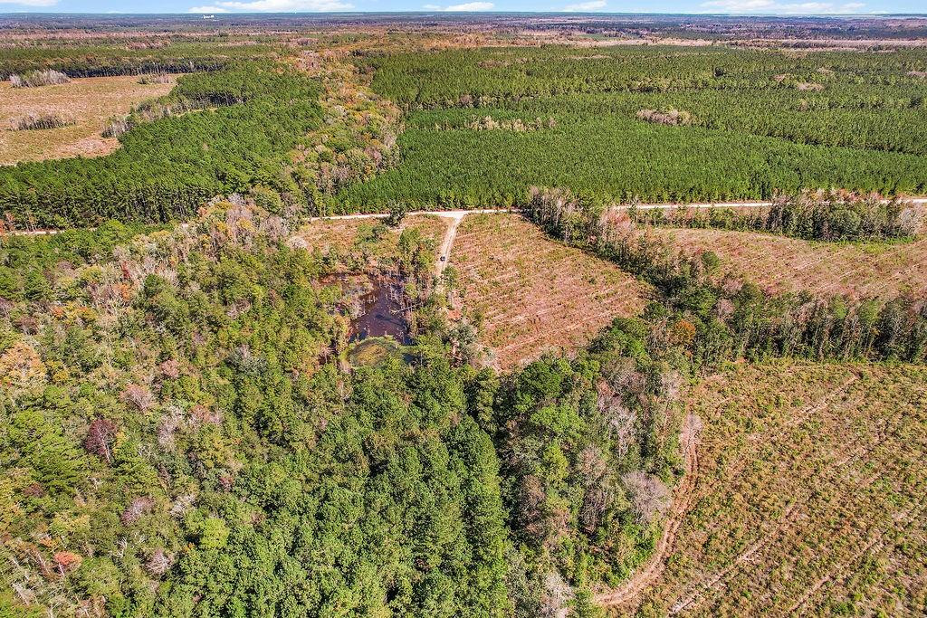 39.38 Branson Road Townsend, GA 31331 - Photo 15 of 21