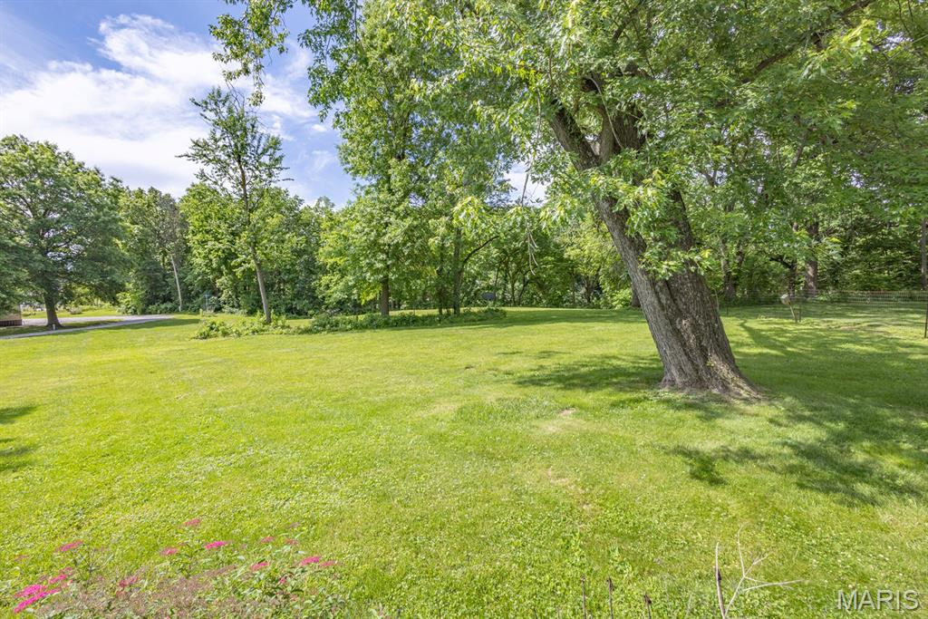 113 Judy Street Perry, MO 63462 - Photo 24 of 30