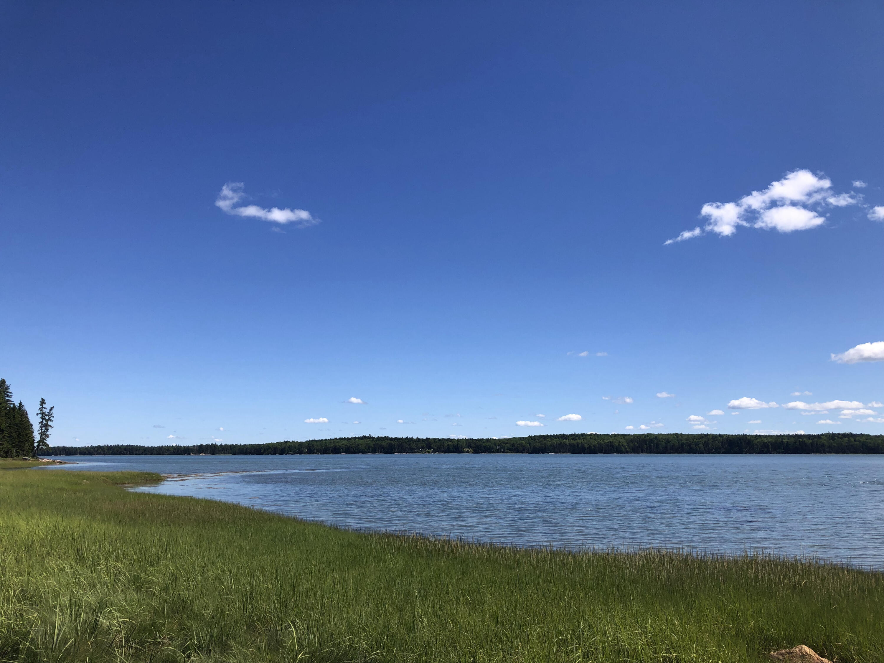 63 Birch Point Road Milbridge, ME 04658 - Photo 14 of 19 14