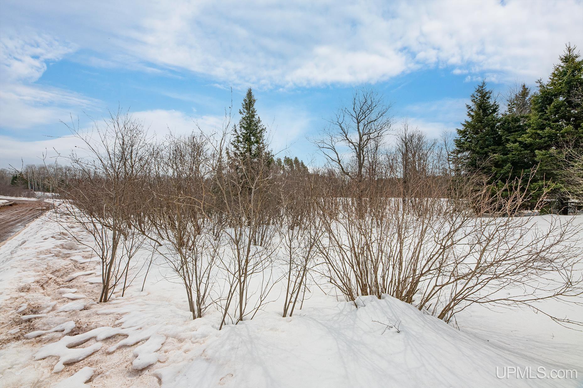 Dunham Road Wakefield, MI 49968 - Photo 14 of 29 Gallery Image 14