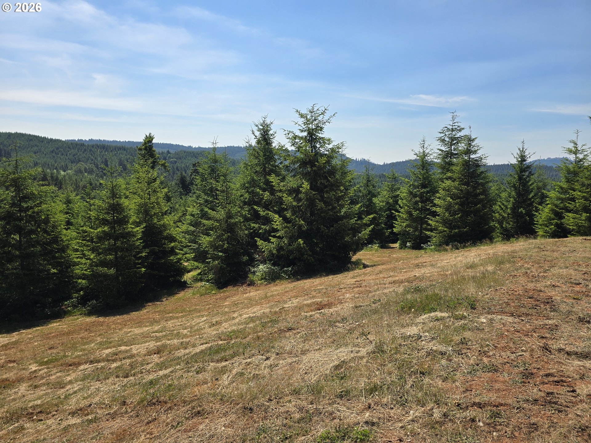 28818 Gowdyville Road Lorane, OR 97451 - Photo 17 of 18