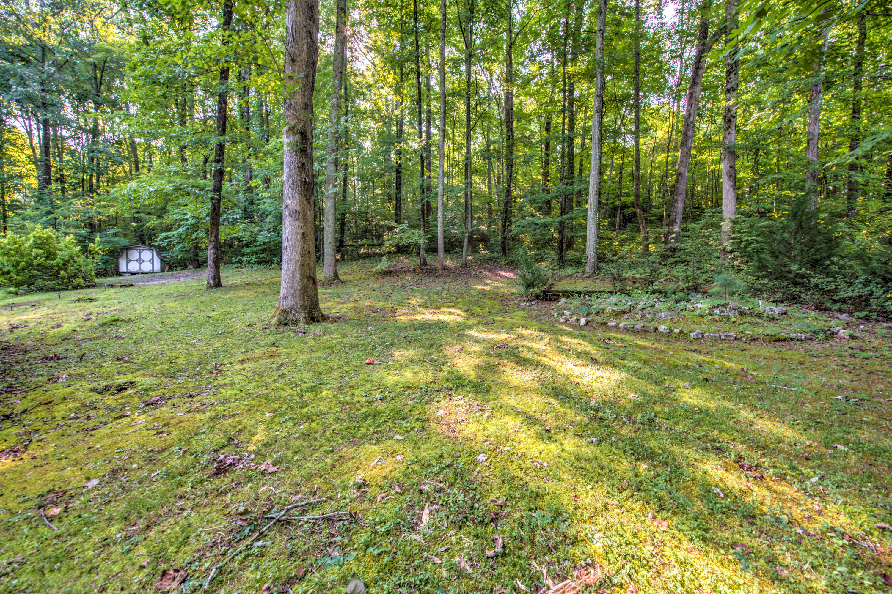 473 Powder House Road Powell, TN 37849 - Photo 28 of 30 28