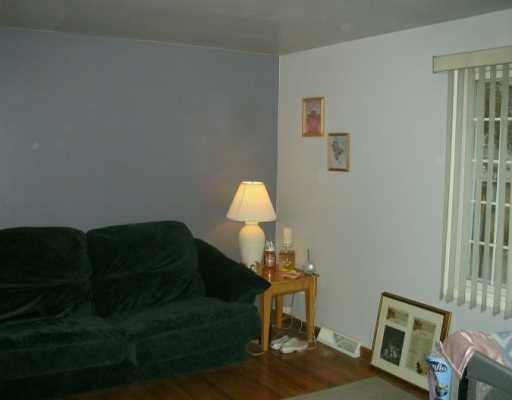 685 Blue Ridge Drive Plum, PA 15239 - Photo 2 of 5 Living Room.