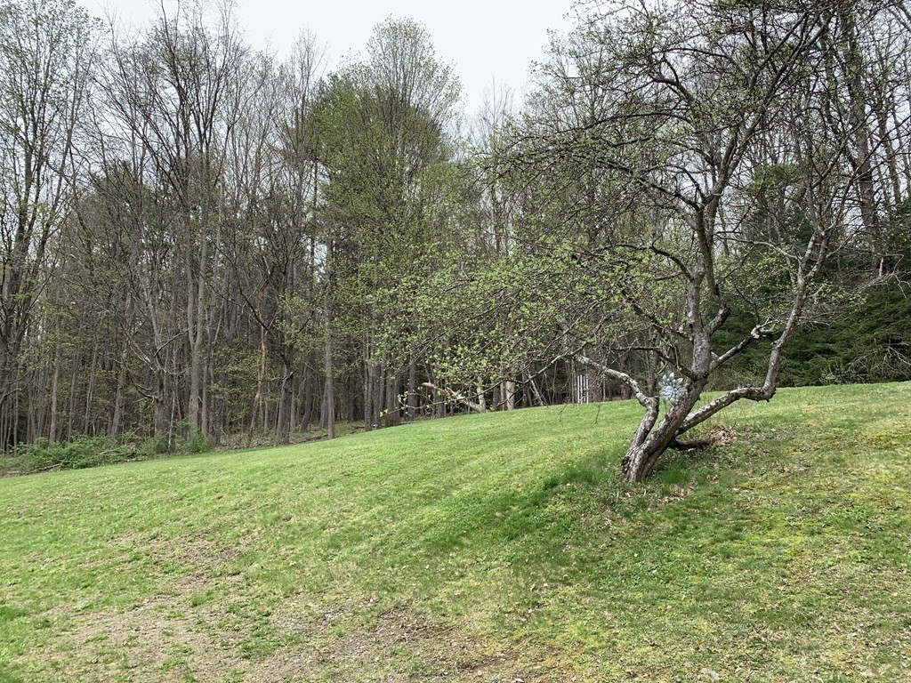 31 W Road Bernardston, MA 01337 - Photo 33 of 39 Gallery Image 33