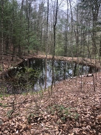 31 W Road Bernardston, MA 01337 - Photo 36 of 39 Gallery Image 36