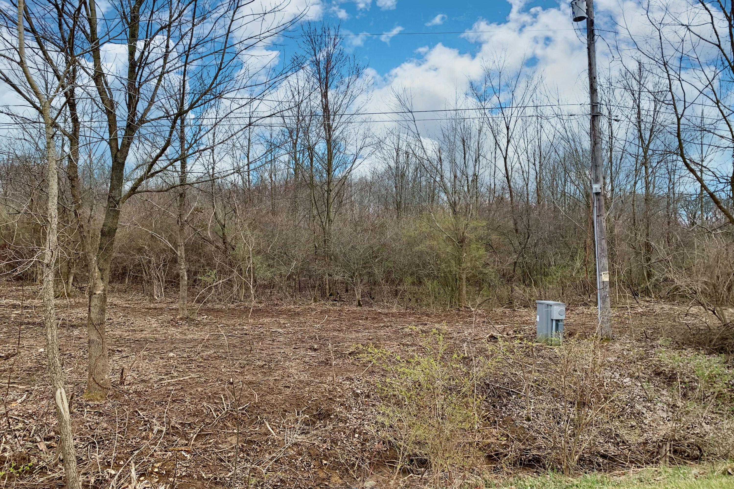5563 Red Bank Road, Unit TRACT C Galena, OH 43021 - Photo 4 of 32 4.-NE-View-of-Lot